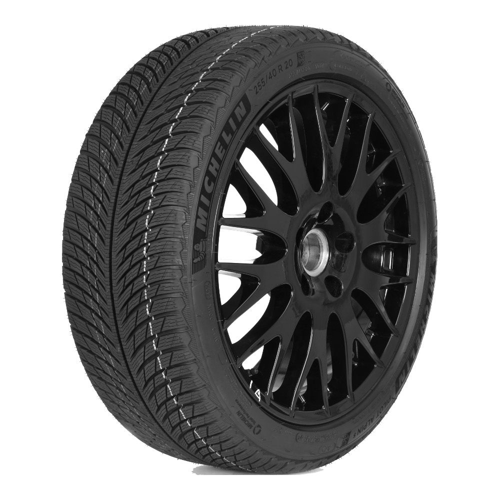 Michelin  315/30/21  V 105 PILOT ALPIN 5  XL  старше 3-х лет